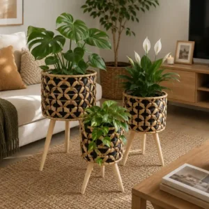 Pack 3 maceteros con base madera